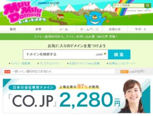 ムームードメインは更新料に注意！独自ドメインの取得方法と手順をシンプルに解説
