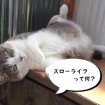 非公開: 【スローライフとは】山根がネットビジネスで得られたスローライフって何？